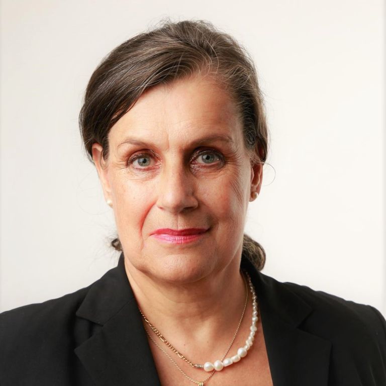 Susanne Schall, Online-Kommunikation, Digital Media Consultant